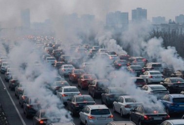 Красноярский опыт для 43 городов: Минприроды анализирует неэффективность экологических трат Красноярский опыт для 43 городов: Минприроды анализирует неэффективность экологических трат